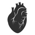 Human heart icon. Anatomically correct heart with venous system icon. Vector illustration