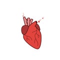 Human heart icon vector realistic illustration Royalty Free Stock Photo