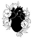 Human heart illustration with flowers. Royalty Free Stock Photo