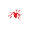 Human Heart illustration Royalty Free Stock Photo