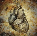 Human heart image on the messy iron background