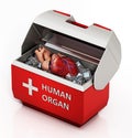 Human heart inside box isolated on white background. 3D illustration Royalty Free Stock Photo