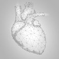 Human Heart Internal Organ Triangle Low Poly. Connected dots white gray neutral color technology 3d model medicine healthy body pa