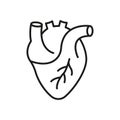 Human Heart Line Icon. Cardiac Muscle Sign. Medical Cardiology Linear Symbol. Anatomy of Healthy Cardiovascular Organ Royalty Free Stock Photo