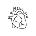 Human heart line icon concept. Human heart vector linear illustration, symbol, sign Royalty Free Stock Photo