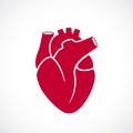 Human heart medical vector icon