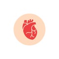 Human heart medical vector desease cardiovascular organ anatomy. Healthy human heart organ shape flat icon.