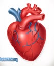Human heart. Medicine, internal organs. vector icon
