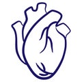 Human heart minimal vector icon drawn with brush line