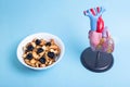 Human heart mockup and plate with dried fruits on a blue background. The concept of correct and healthy nutrition for the health Royalty Free Stock Photo