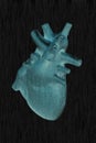 Human heart model on black background,concept of cardiology, health care, human organ transplant