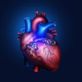 Human heart model 3d illustration. Veins and arteries Royalty Free Stock Photo