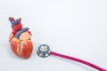 Human heart model with stethoscope