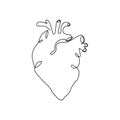 Human heart one line art. Continuous line drawing of human, internal, organs, heart, blood, aorta, blood vessels