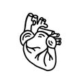 Human heart organ hand drawn doodle icon. Anatomical heart shape. Vector illustration