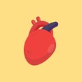 Human heart organ icon, healthy concept, vector illustration. Royalty Free Stock Photo