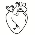 Human Heart organ outline icon. linear style sign. Heart line art. Vector graphics Royalty Free Stock Photo