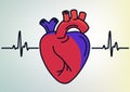 Human Heart organ outline icon. linear style sign. Heart line art. Vector graphics Royalty Free Stock Photo