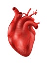 Human Heart - Human Organs Collection, realistic vector illustration Royalty Free Stock Photo