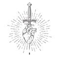 Human heart pierced with ritual dagger in rays of light isolated on white background hand drawn vector illustration