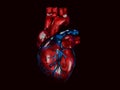 Human heart, polygonal graphics 3d Illustration black background