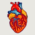 Human heart Premium Vector