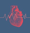 Human heart with heart rate illustration on blue BG Royalty Free Stock Photo