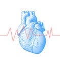 Human heart with heart rate illustration on blue BG Royalty Free Stock Photo