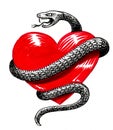 Human heart and snake Royalty Free Stock Photo