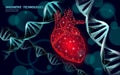 Human heart surrounded by DNA molecules in electric blue color, gene therapy medicine doctor technology. Modern health Royalty Free Stock Photo