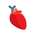 Human heart vector illustration. Royalty Free Stock Photo