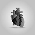 Human heart vector illustration Royalty Free Stock Photo