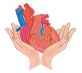 Human heart with veins in hand unfolded hands flat vector illustration Royalty Free Stock Photo