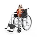 Human Heart on Wheelchair Illustration Royalty Free Stock Photo