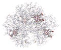 Human hemoglobin 3D model