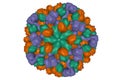 Human hepatitis E virus capsid