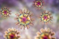 Human Herpes simplex virus