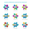 Human hormones vector signs with associative molecular structures set