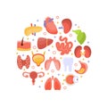 Human Iinternal Organs of Round Shape, Healthcare and Medical Vector Illustration