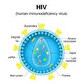 human immunodeficiency virus. Close-up of a HIV virion structure