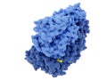 HIV-1 reverse transcriptase RT complexed with a non nucleoside inhibitor yellow