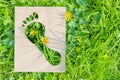 Human impact on nature, ecology, protection of natural environment, earth day concept. Ecological footprint made of recyclable Royalty Free Stock Photo
