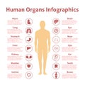 Human infographic set Royalty Free Stock Photo