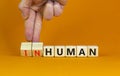 Human or inhuman symbol. Businessman turns wooden cubes and changes the word inhuman to human. Beautiful orange table orange Royalty Free Stock Photo