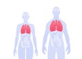 Human inner organ infographic. Vector flat healthcare illustration. Male and female silhouette. Red lung and respiratory system