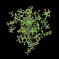 Insulin molecule, 3D illustration