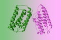 Human interferon beta crystal structure. Rendering with differently colored protein chains based on protein data bank Royalty Free Stock Photo