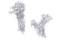 Human interleukin-7 with unglycosylated interleukin-7 receptor alpha ectodomain. Atoms are shown as color-coded spheres