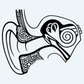 Human internal ear diagram Royalty Free Stock Photo