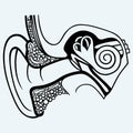 Human internal ear diagram Royalty Free Stock Photo